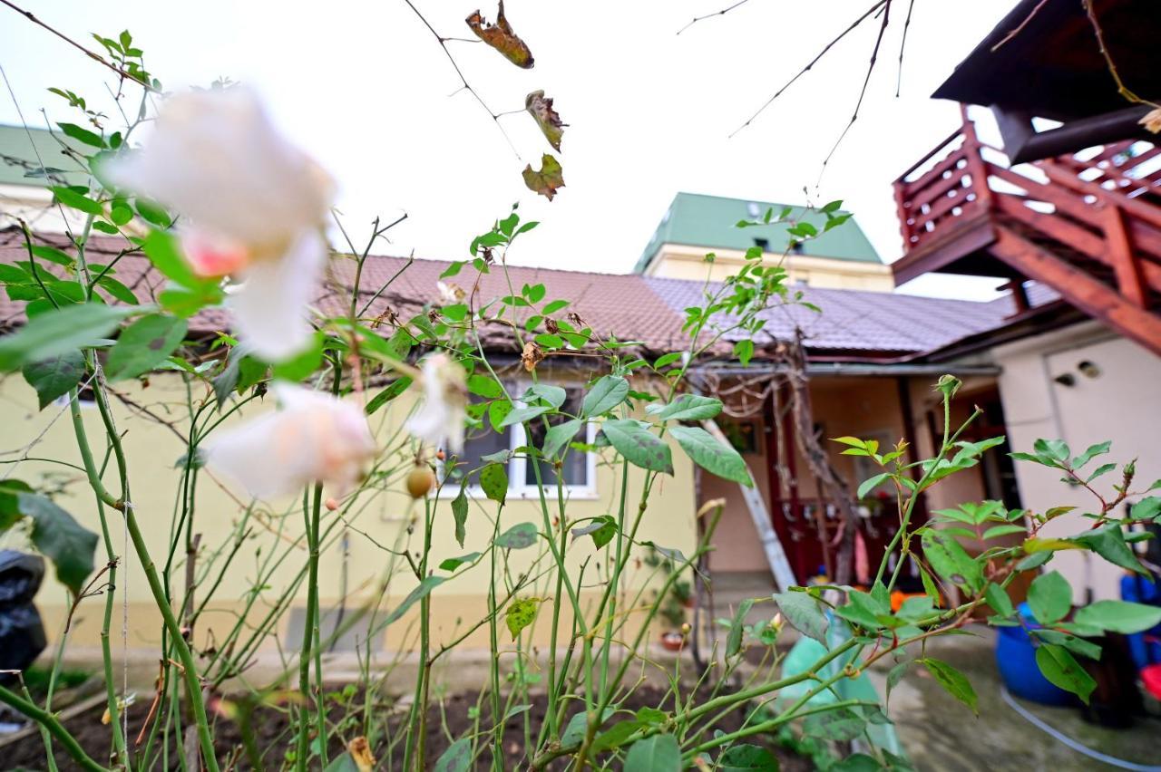 Flh - Kaly'S Place Sibiu Dış mekan fotoğraf